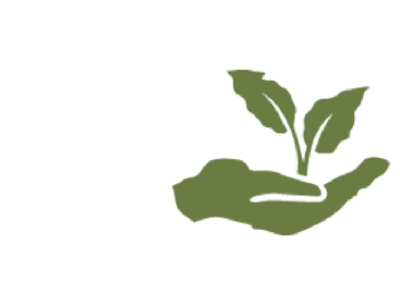 palm oil resized 5